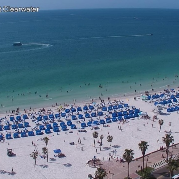 Meet your Posher, Carol - Picture 8 of 11